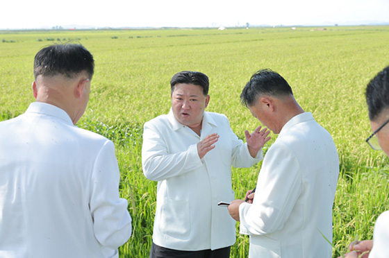 경애하는 김정은동지께서
강원도 안변군 오계농장과 월랑농장을 돌아보시였다