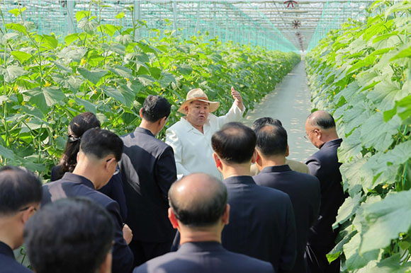 경애하는 김정은동지께서 신의주온실종합농장을 현지지도하시였다




 
